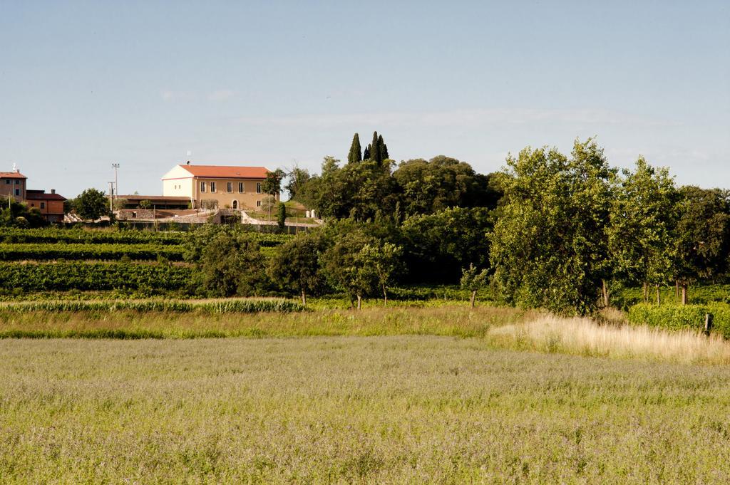 Вилла Agriturismo Panorama Кастельнуово-дель-Гарда Экстерьер фото